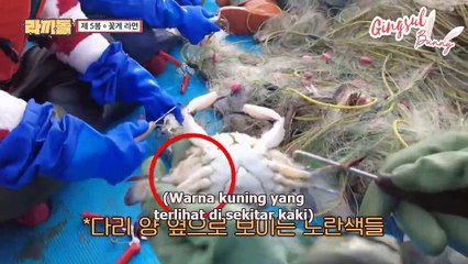 [INDO SUB] TREASURE - The Idol Ramyeonators EP.05