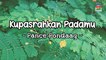 Pance Pondaag - Kupasrahkan Padamu (Official Lyric Video)