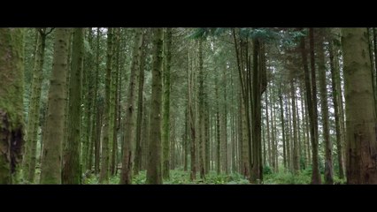 Willow : première bande-annonce VOST (le 30 novembre sur Disney Plus)