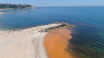 Karadeniz’deki renk değişiminin nedeni ‘alg patlaması’ çıktı