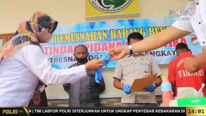 PRESISI UPDATE 14.00 WIB Polres Bengkayang Lakukan Pemusnahan Narkoba Dengan Cairan Pembersih Lantai
