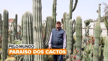 Pelo mundo: Paraíso dos Cactos