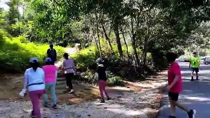 ◤怡保升格为市34周年◢ 交通罚单扣70%  市政厅柜台现人潮