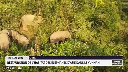 Images du Monde - 27/05/2022