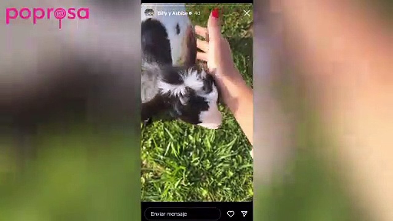 Primeras horas del cabrito de Jessica Bueno en casa
