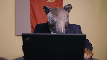 Precipice - Trailer officiel