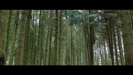 Willow Saison 1 - Teaser (EN)