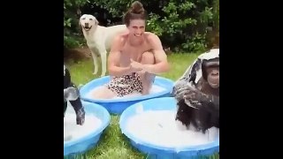 Funny Animal Videos  Funniest  Dogs and  Cats 2023