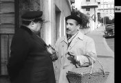 I pappagalli - 1/2 (1955 commedia) Aldo Fabrizi Alberto Sordi Peppino De Filippo