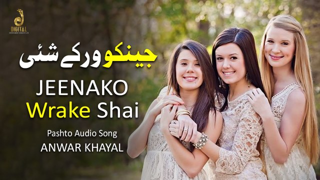 Jeenako Wrake Shai | Anwar Khayal | Pashto Audio Song | Spice Media