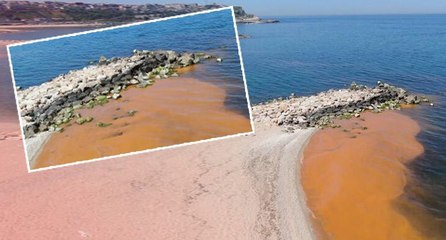 Karadeniz’deki renk değişiminin sırrı çözüldü
