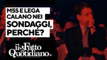 Lega e M5s calano nei sondaggi, perché? Il commento in diretta con Peter Gomez