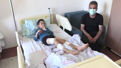 Sahipsiz 4 köpeğin saldırısına uğrayan çocuk yaralandı