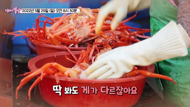 일개미 광순 엄마의 어촌살이_엄마의 봄날 350회 예고 TV CHOSUN 220529 방송