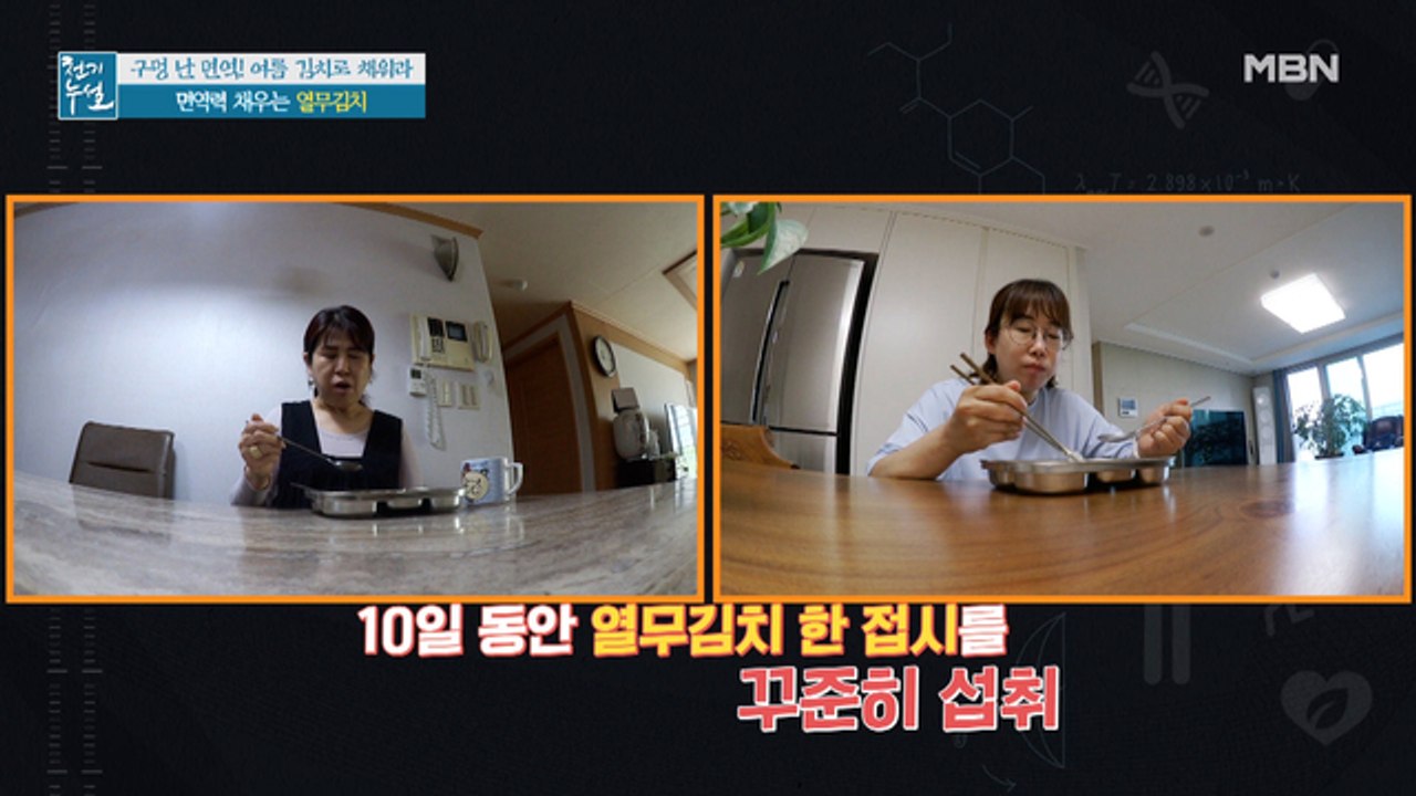 [실험] 열무김치가 면역력 향상에 도움이 될까?