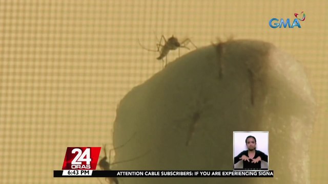 Mahigit 2,000 kaso ng dengue, naitala sa Zamboanga City; health Sec. Duque, sinabing may outbreak na sa lungsod | 24 Oras