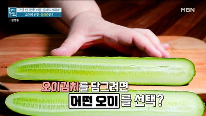 녹색 VS 연두색! 여름 김치에는 더 적합한 오이는? (ft. 오이 보관법)