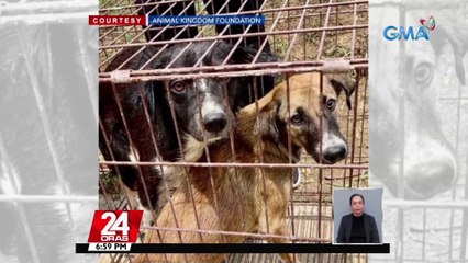 Bentahan umano ng karne ng aso sa Bulacan, bistado; 2 arestado | 24 Oras