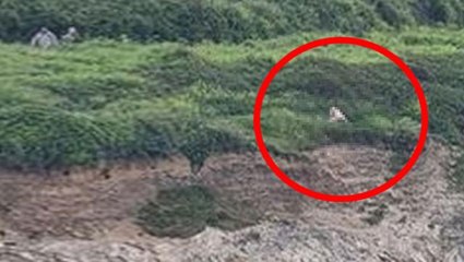 Uçurumun kenarında cinsel ilişkiye giren 70 yaşındaki çift, restorandakilerin kadrajına yakalandı