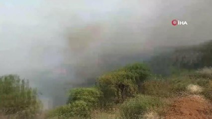 KKTC'de arazide başlayan yangın ormanlık alana sıçradıAlevlere müdahale sürüyor