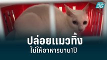 สุดสลดปล่อยแมวทิ้งไม่่ให้อาหารนาน1ปี | เข้มข่าวค่ำ