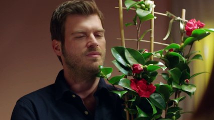 Choque - Carpisma - Capítulo 29 (Audio Español) | Crash