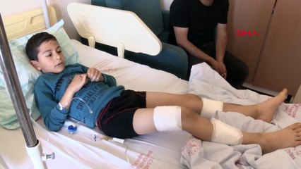 Artık buna çözüm bulunsun! Sokak köpekleri küçük çocuğu yaraladı