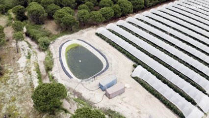 Kampf ums Wasser zwischen Erdbeeren und Nationalpark im Süden Spaniens