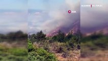 KKTC'de arazide başlayan yangın ormanlık alana sıçradı