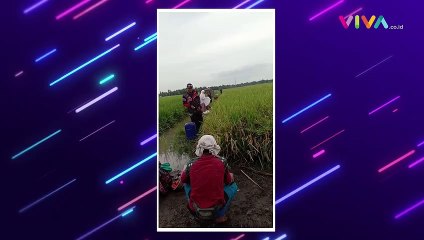 Aksi Ibu-ibu Salat di Tengah Sawah Viral di Media Sosial
