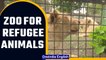 Odesa’s zoo offers refuge to animals from war regions | Oneindia News
