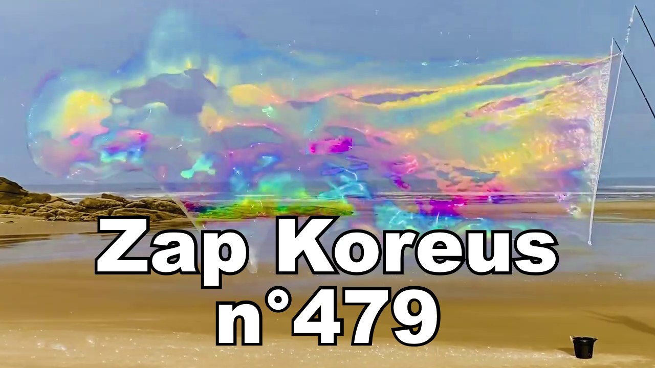 Zap Koreus n°479