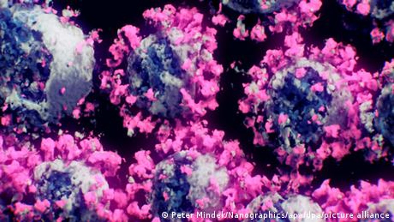 Coronavirus: Traces in wastewater
