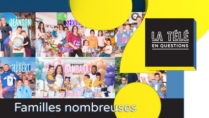 TLQ Familles nombreuses (TF1) : les participants sont-ils rémunérés ?