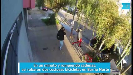 En un minuto y rompiendo cadenas, así robaron dos costosas bicicletas en Barrio Norte