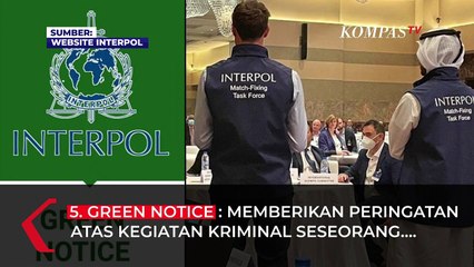 Tak Hanya Yellow Notice, Interpol Punya 8 Tipe Notice Berdasarkan Warna