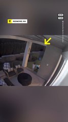 Mom Saves Toddler From Potential Bear Encounter