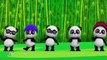 lima panda kecil _ lagu kartun untuk anak-anak(480P)