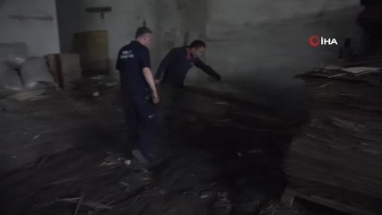 Çalışanların fare zannettikleri yavrular tilki çıktı