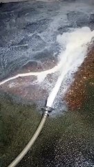 Batalla por la leche en Bizkaia por tres céntimos el litro