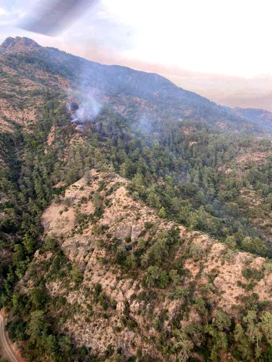 Fethiye'deki orman yangını kontrol altına alındı