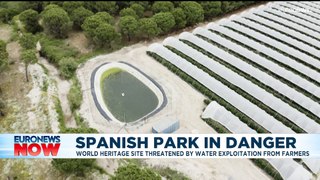 Spain's Doñana National Park under threat as groundwater pumping continues