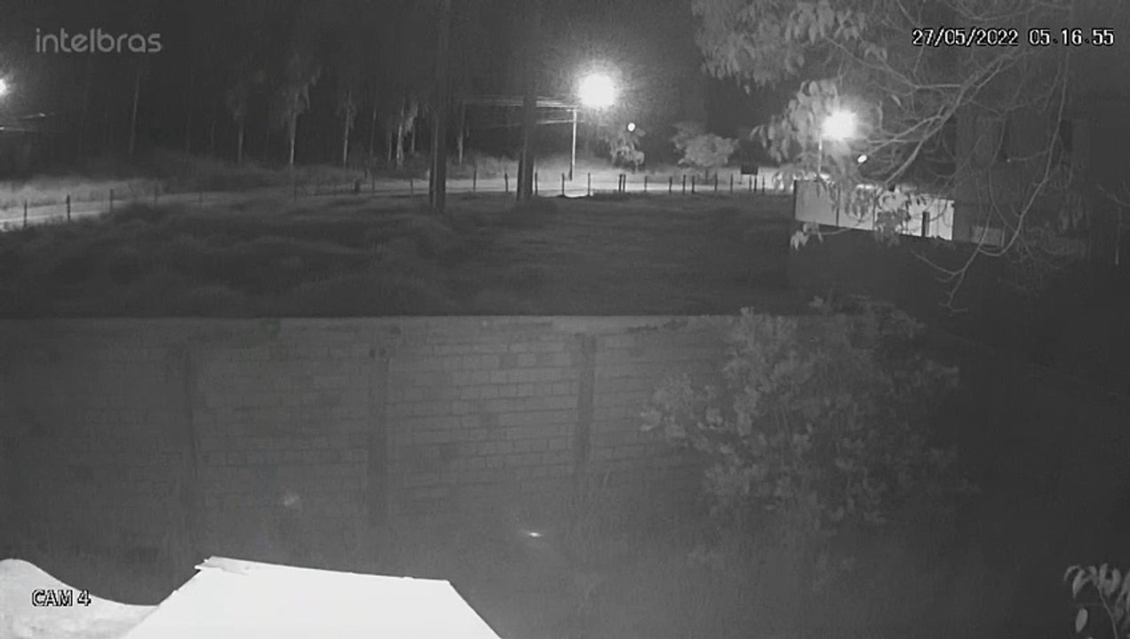 Vídeo mostra momento em que Cleonice é atacada por suposto abusador