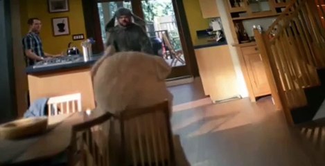 Wilfred S03 E02