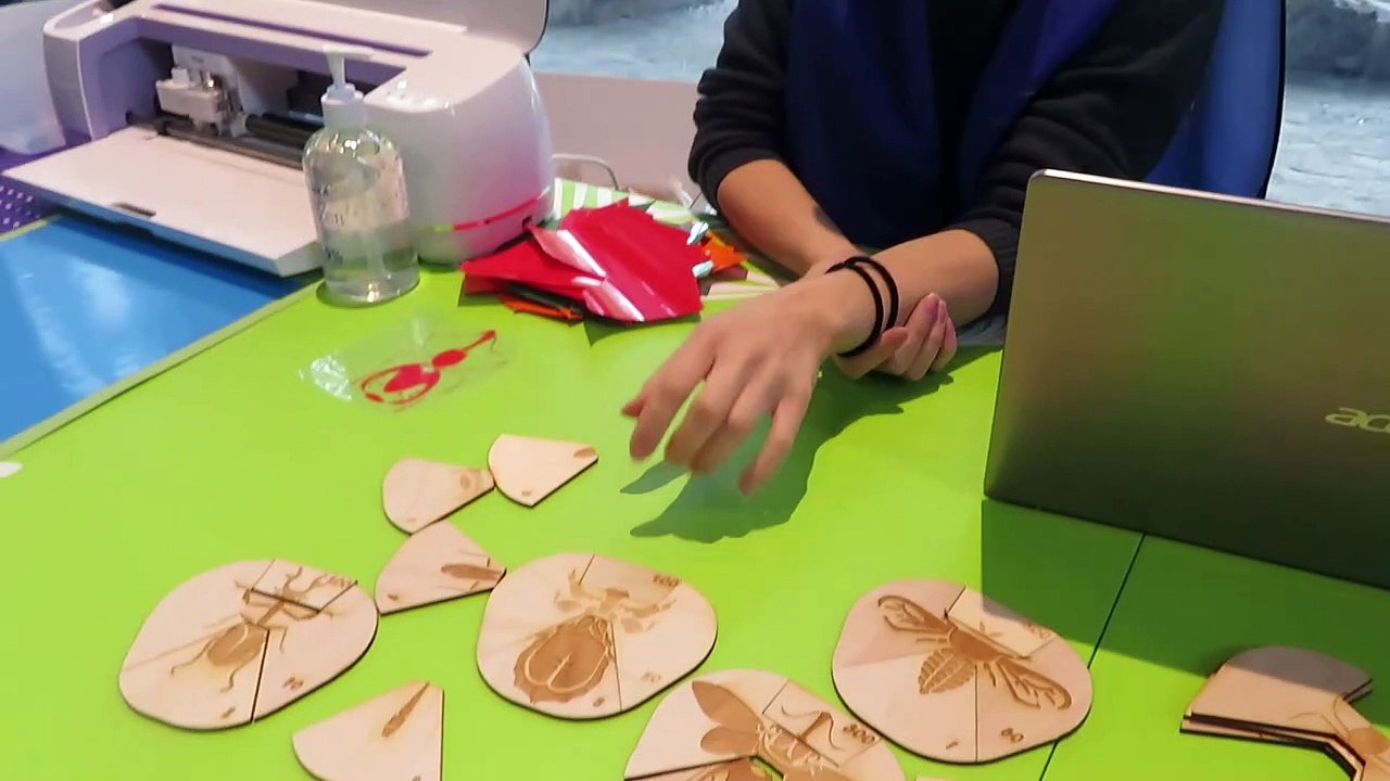 Initiation à l'impression avec vinyle (Le Reflet - Audrey Leduc-Brodeur)