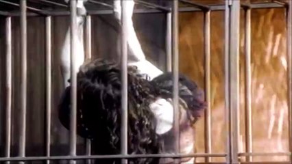 JENNIFER RUSH — Tears In The Rain