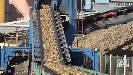 Şeker fiyatına çözüm ithalat