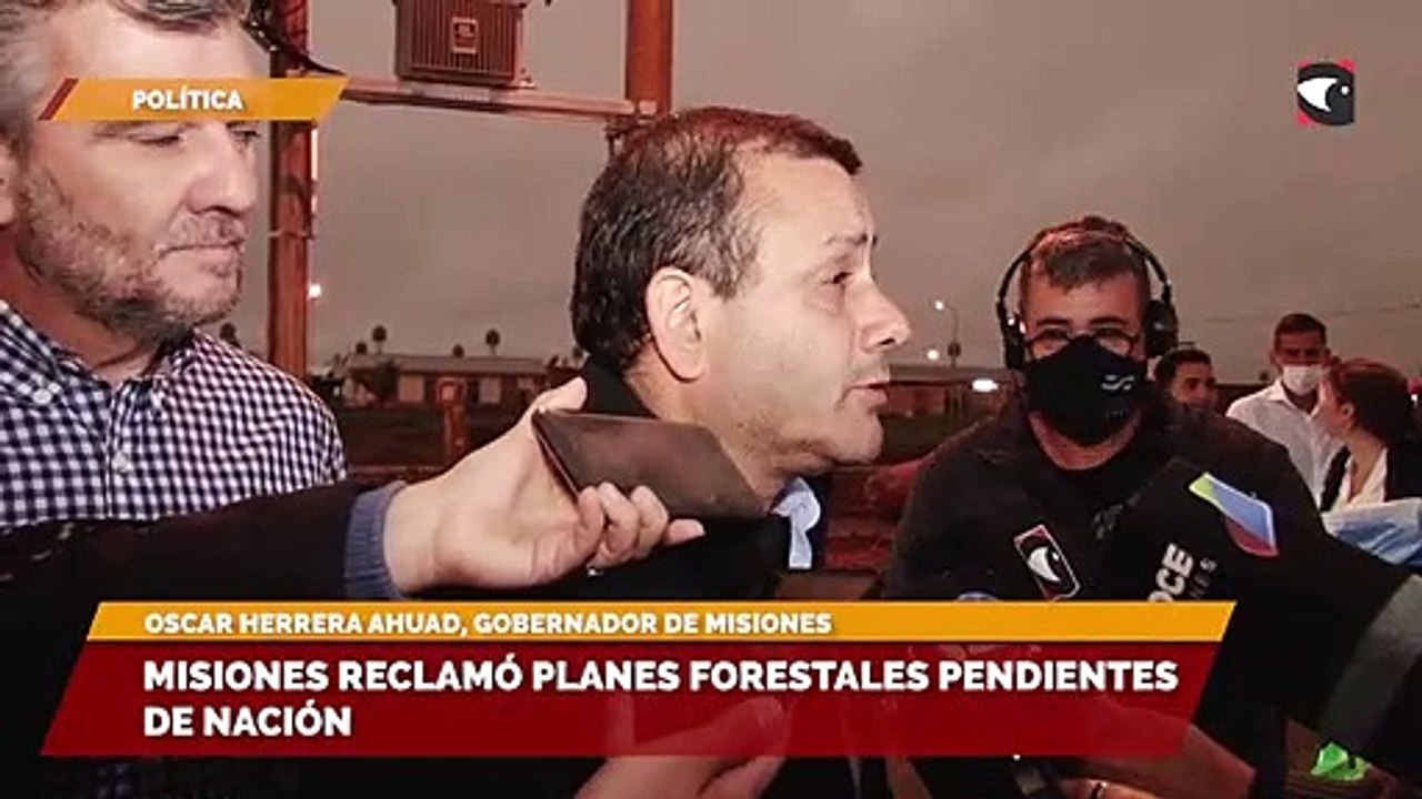 Misiones reclamó planes forestales pendientes de Nación