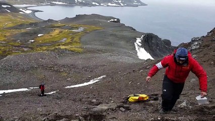 Cientistas chilenos identificam bactérias hiperresistentes na Antártica