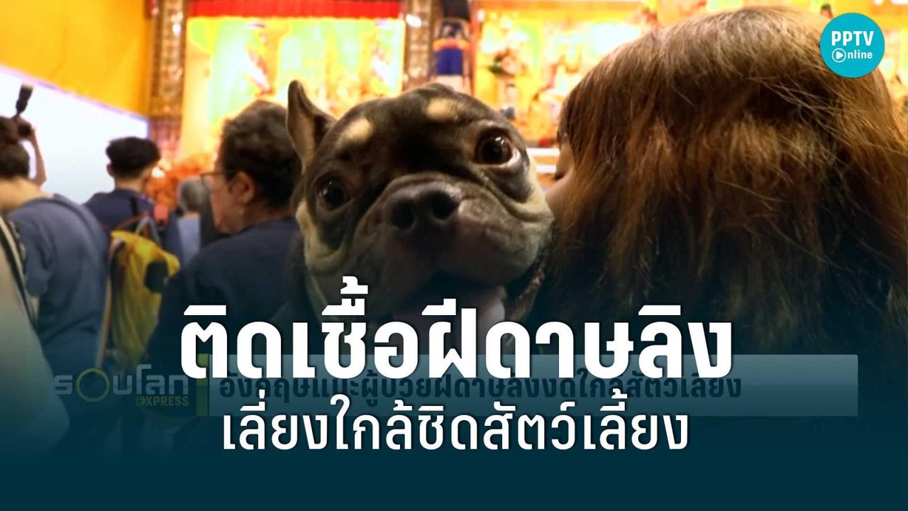 อังกฤษ แนะผู้ติดเชื้อฝีดาษลิง เลี่ยงสัมผัสใกล้ช...
